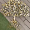 Coin Tree Wall Art